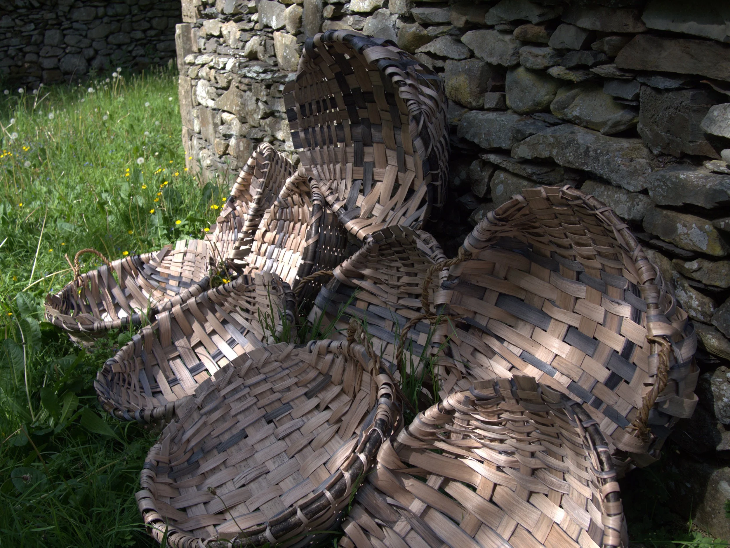 Wood Water Weave online information session