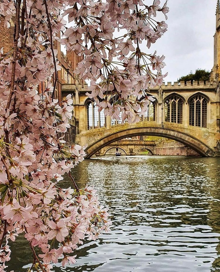 A sigh of nostalgia! 
The &lsquo;Bridge of Sighs&rsquo;, in Cambridge. 
A magical city filled with many happy memories 
@cambridgeuniversity 
@cambridgelittlegems 
@cyclesandsatchels 
#cambridge #cambridgeshire #cambridgeuniversity #rivercam #bridgeo