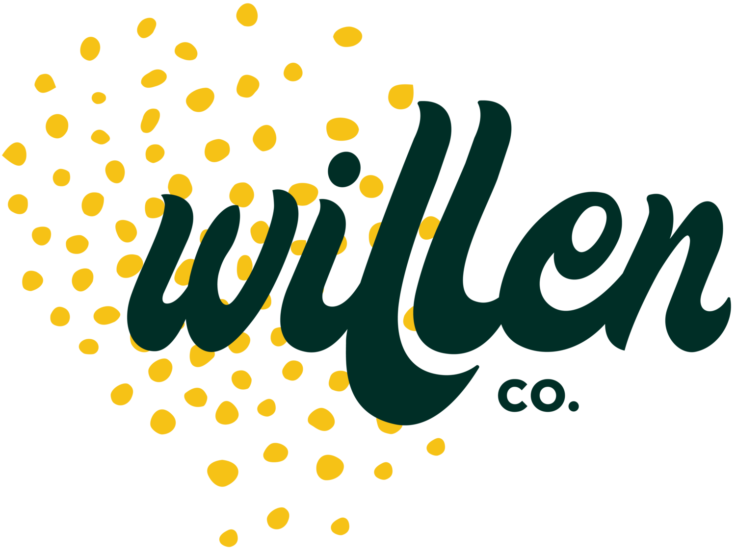WILLEN CO. LLC  |  minneapolis graphic design