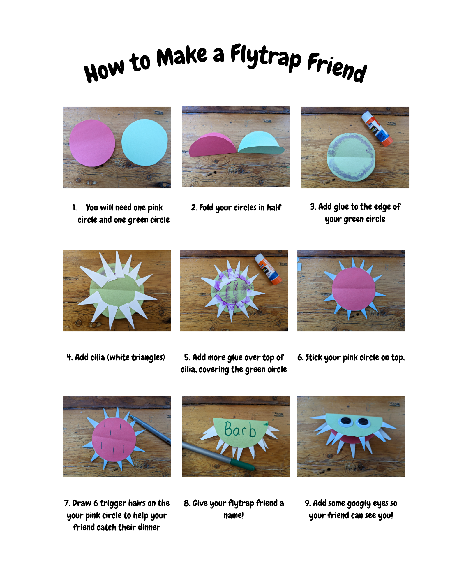 How to Make a Flytrap Friend.png