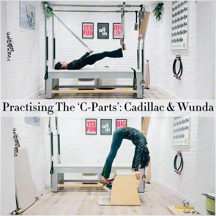 🔹Continuing my journey across this complete System of Pilates, to feel &amp; find the work in my own mind &amp; body in order to then teach &amp; share this incredible system with others.. 🧠⚡️🤸🏻&zwj;♀️⚡️&hearts;️
.
🔹 It is a humbling journey, &a