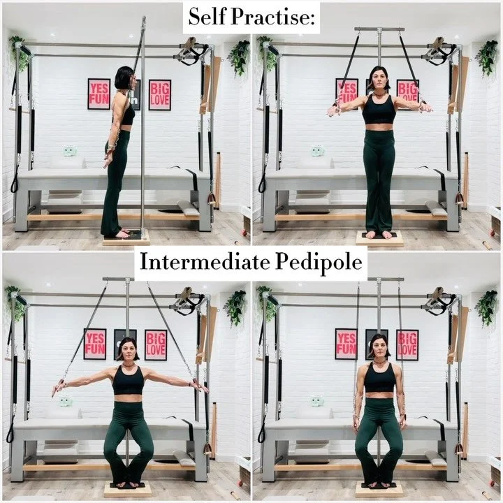 🔹 Officially In Love with my #Pedipole (thank you @tecnopilates 💕) 
.
🔹 What a genius piece of apparatus, so brilliant to understand how the springs work to literally draw us together in standing!!! 🌟🌟🌟🌟🌟 
.
🔹 We have a choice: 
.
➡️ 1. Use 