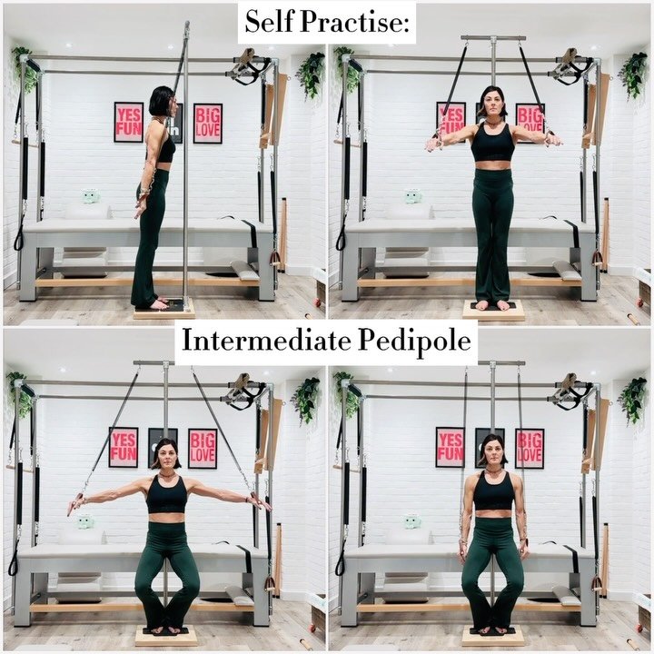 🔹 Officially In Love with my #Pedipole (thank you @tecnopilates 💕) 
.
🔹 What a genius piece of apparatus, so brilliant to understand how the springs work to literally draw us together in standing!!! 🌟🌟🌟🌟🌟 
.
🔹 We have a choice: 
.
➡️ 1. Use 