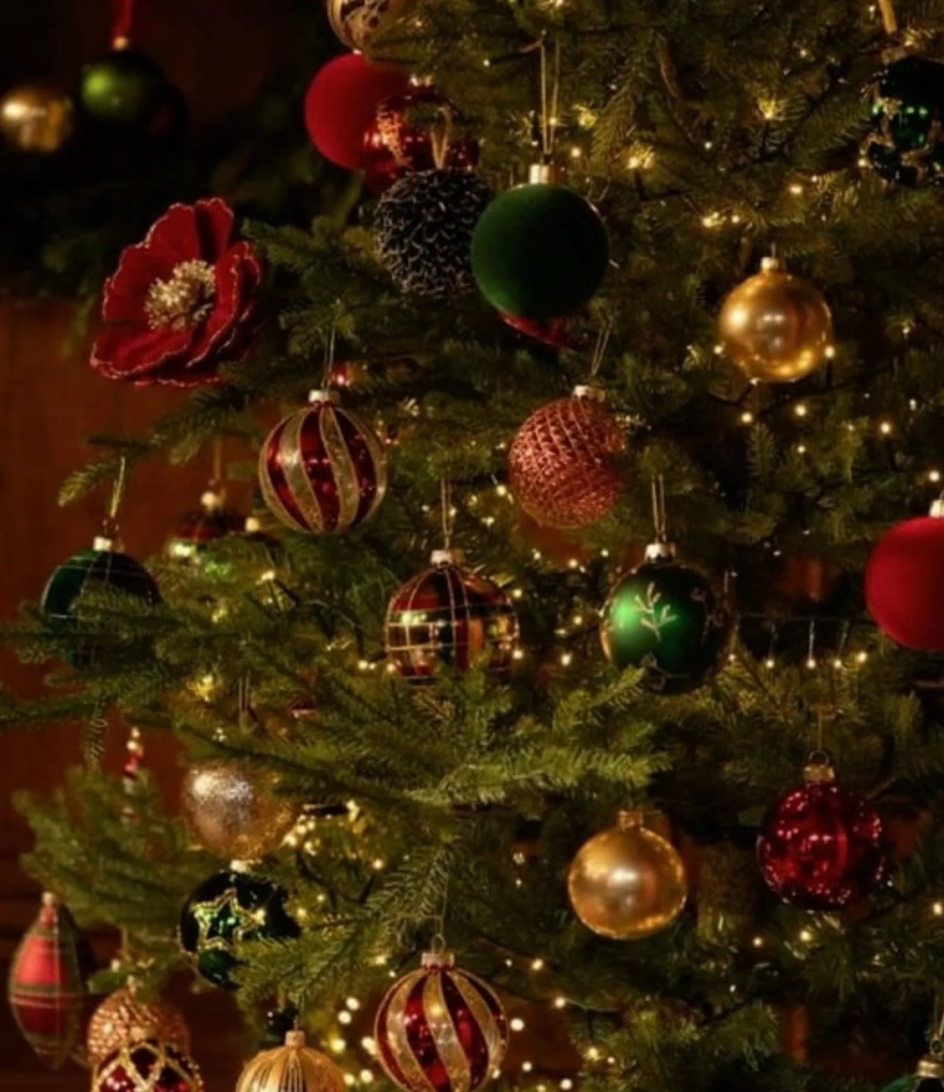 🎁 #cultureatxsalon #christmasiscoming🎄