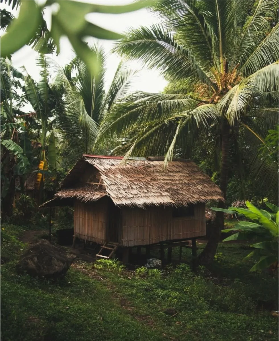 Imagining we're here rn 🌴