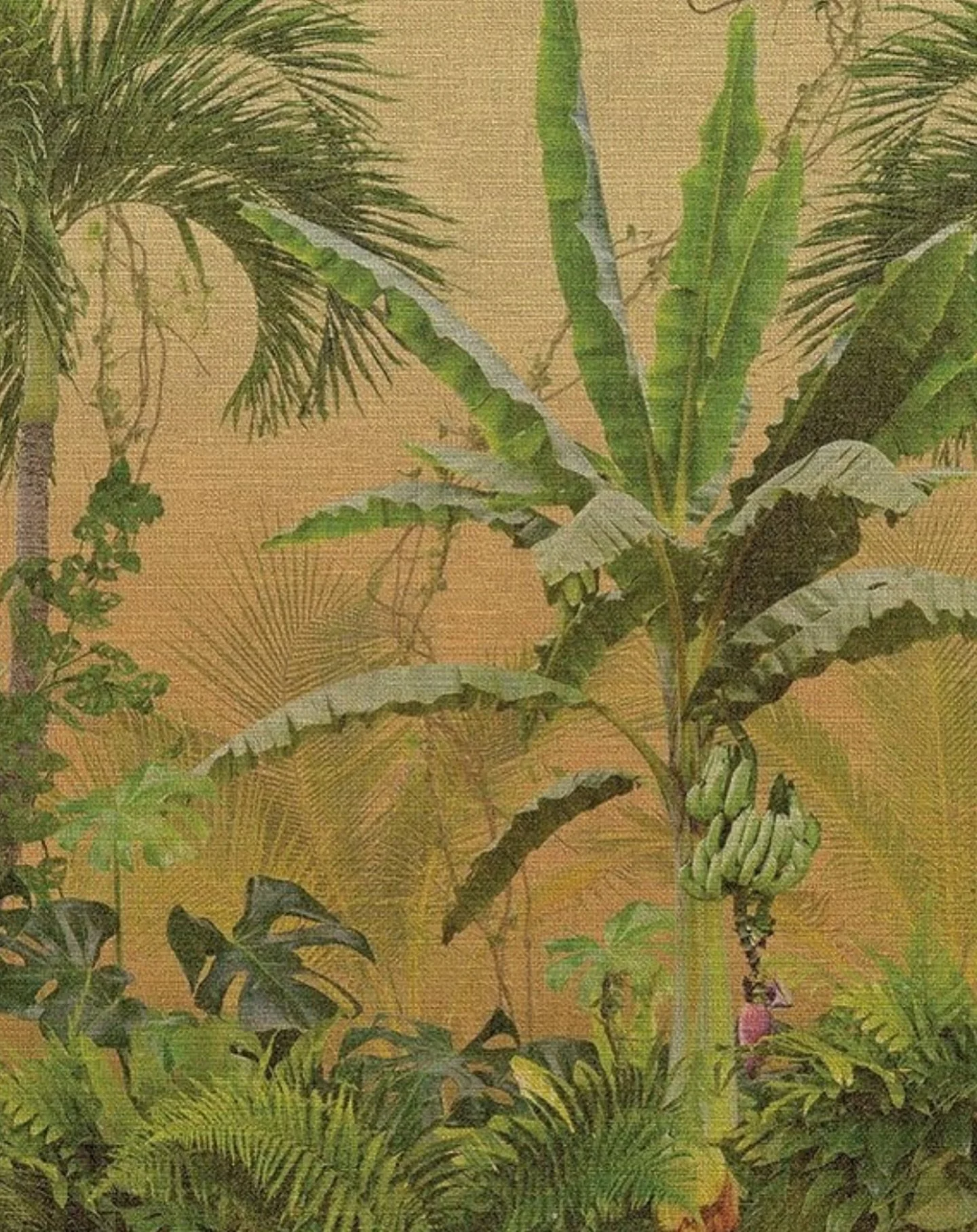 🤎🌴 #cultureatxsalon