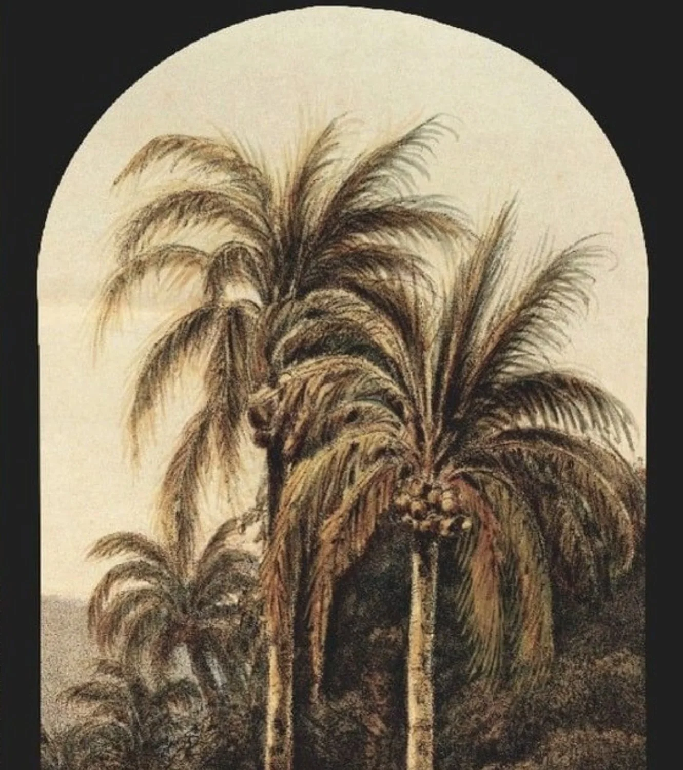 🌴 #cultureatxsalon