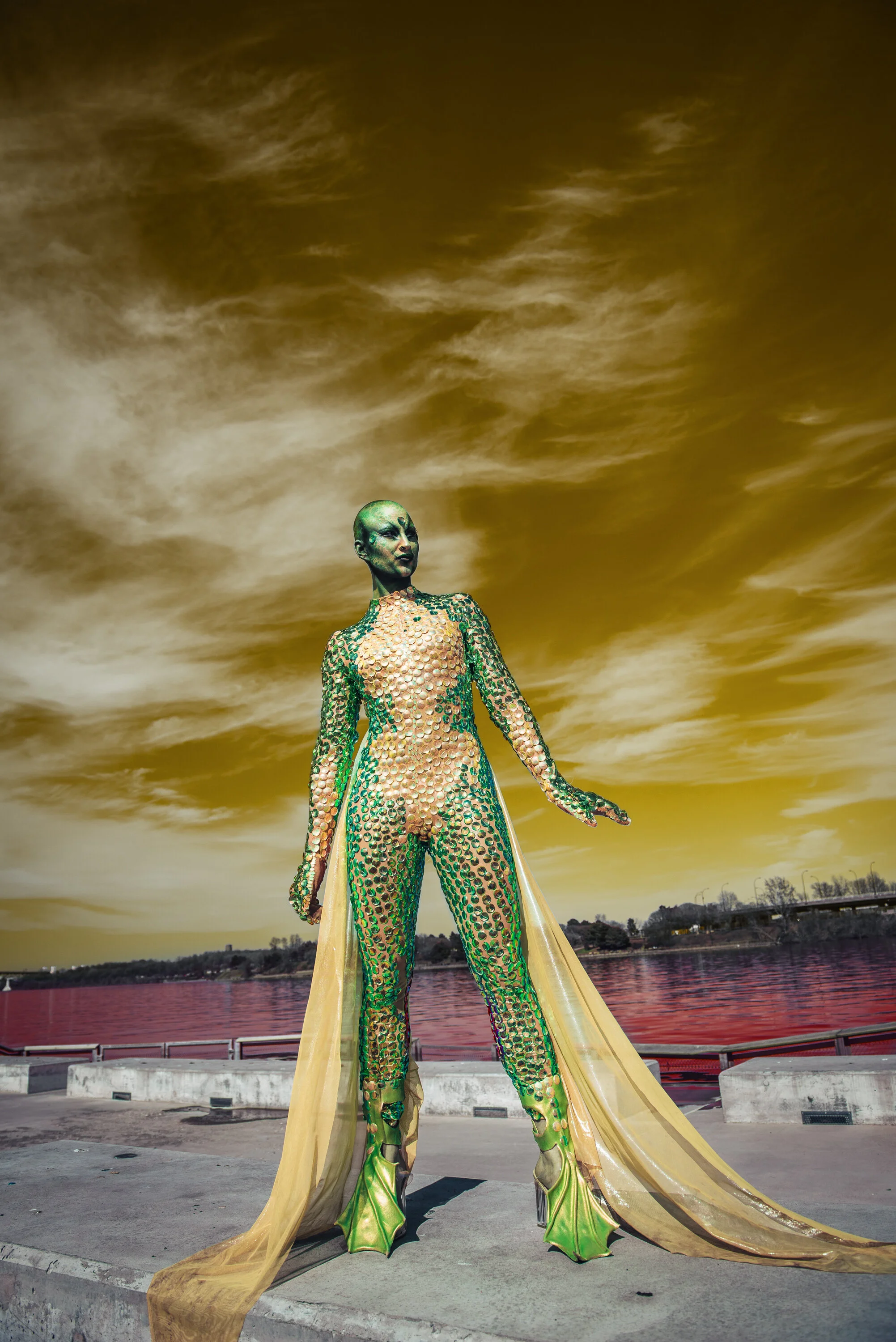 Gab le lézard-82-Modifier.jpg