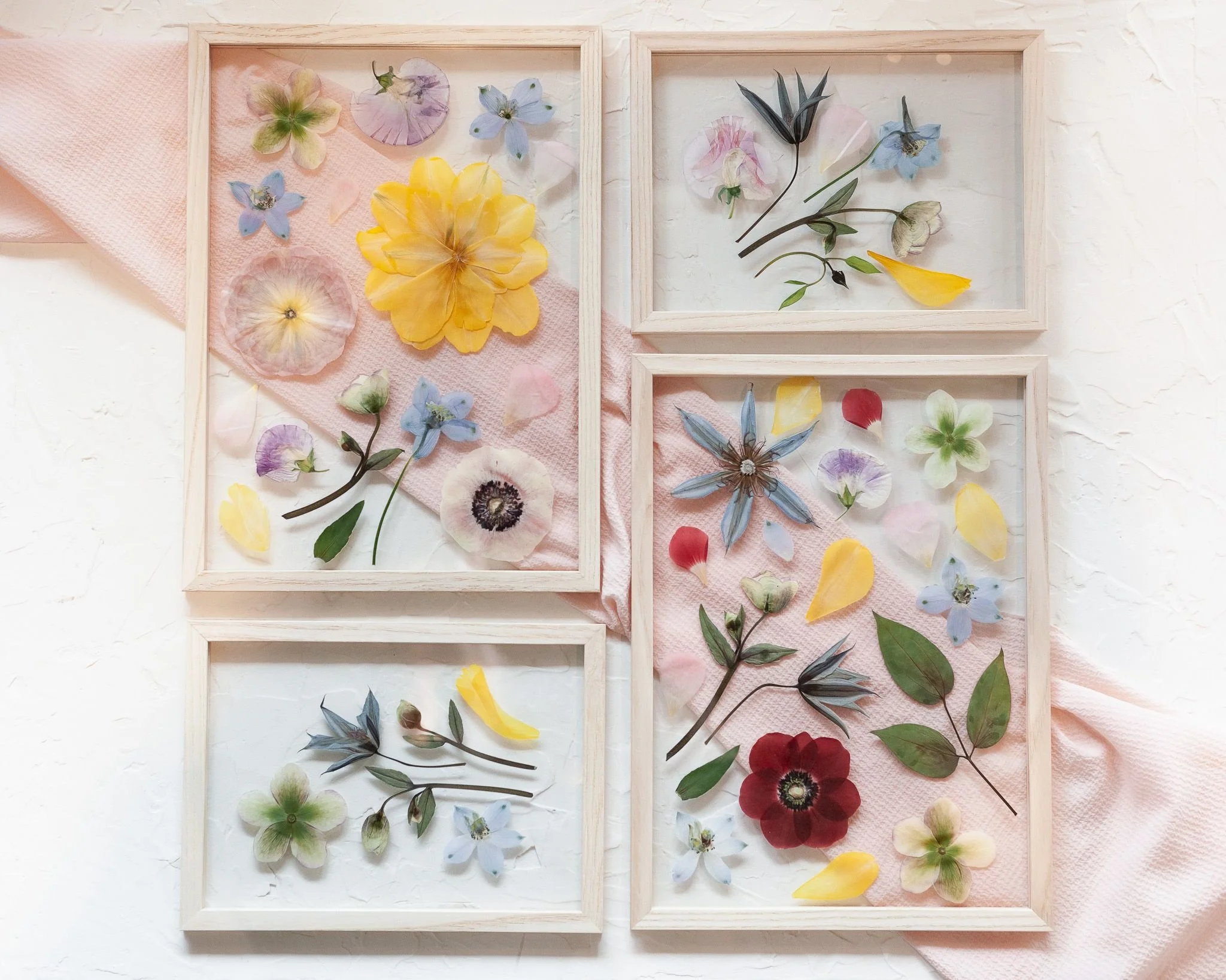 Bowie Mae X FleuRich