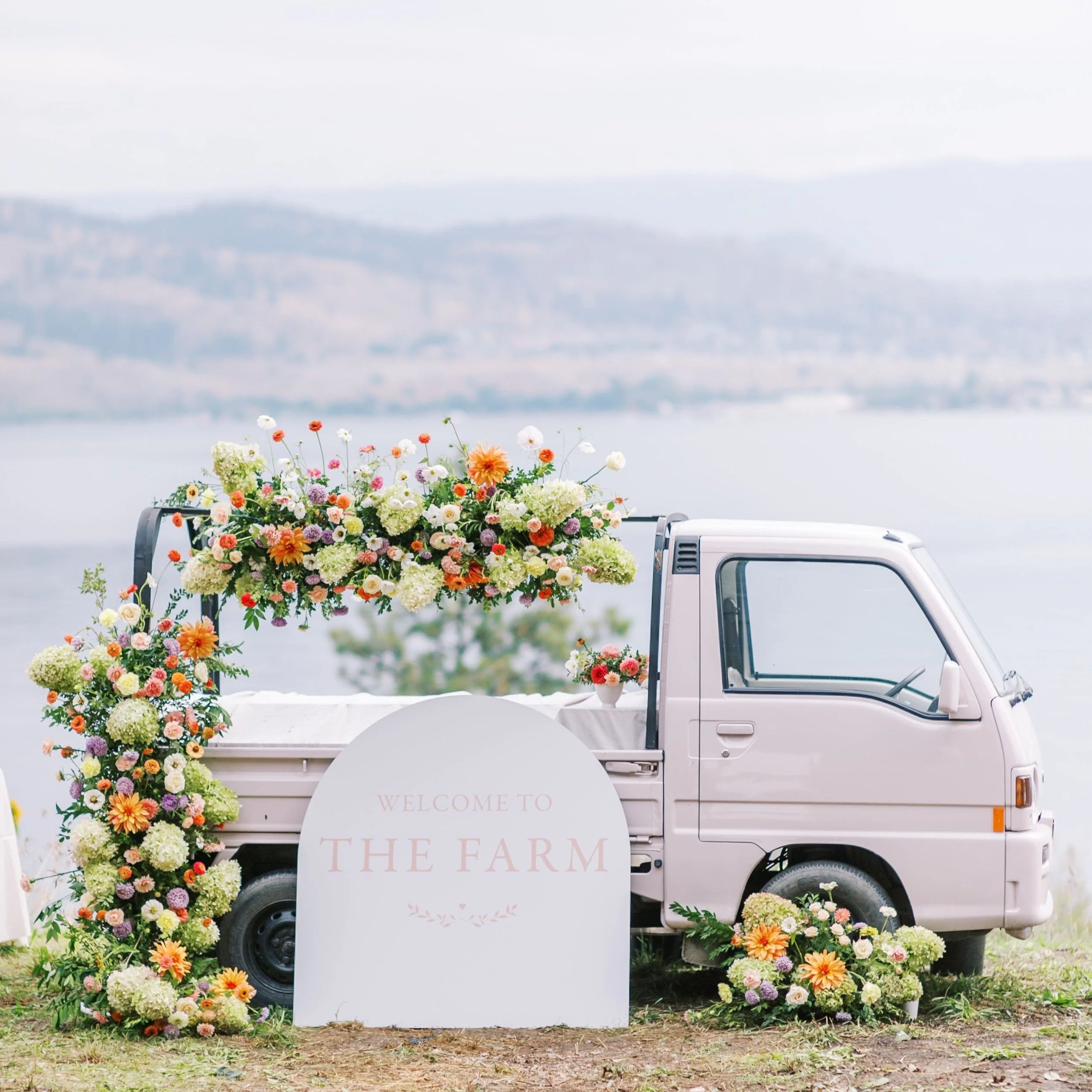  The Academy At The Farm 