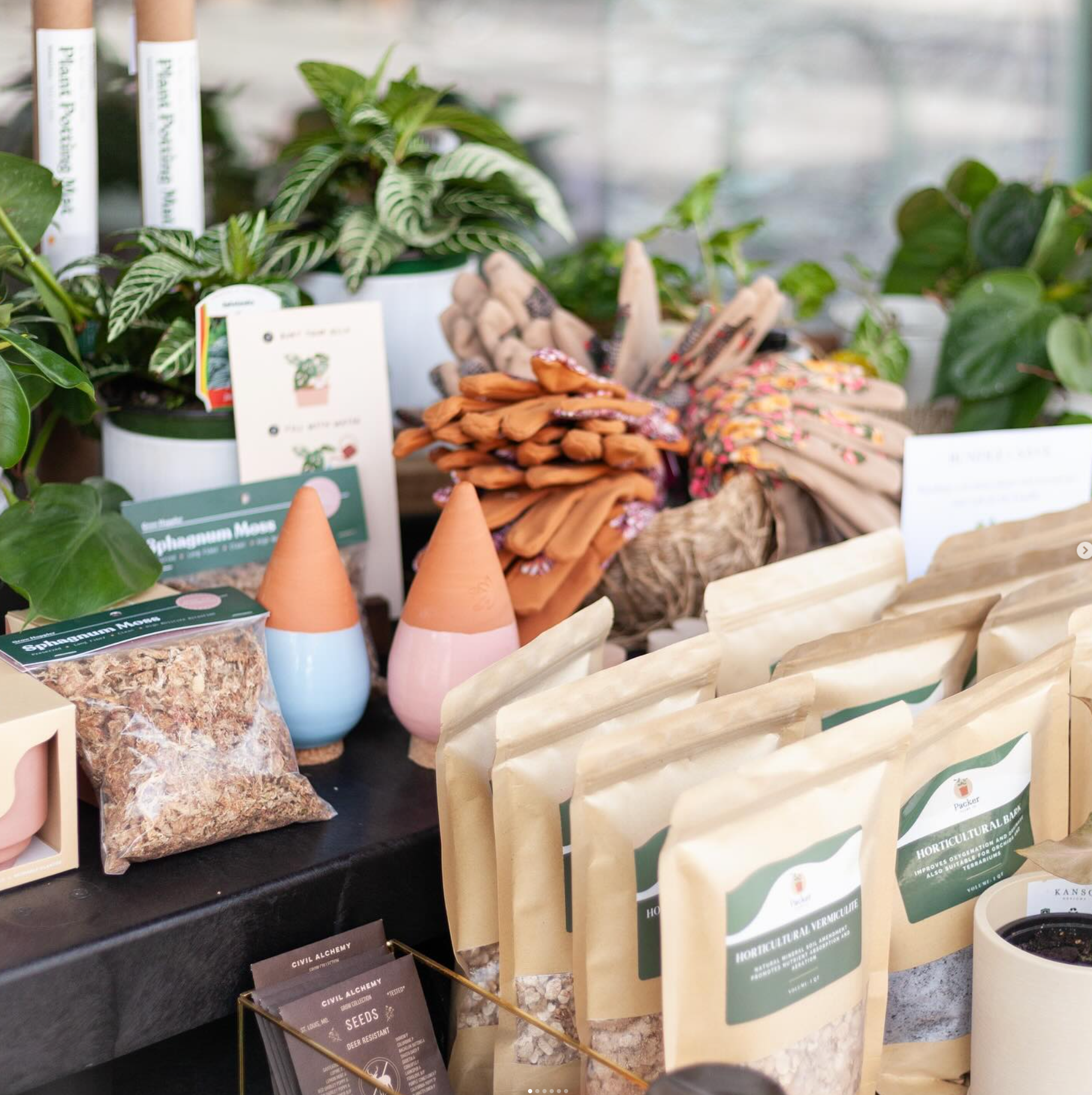 Screenshot 2024-05-29 122539.png