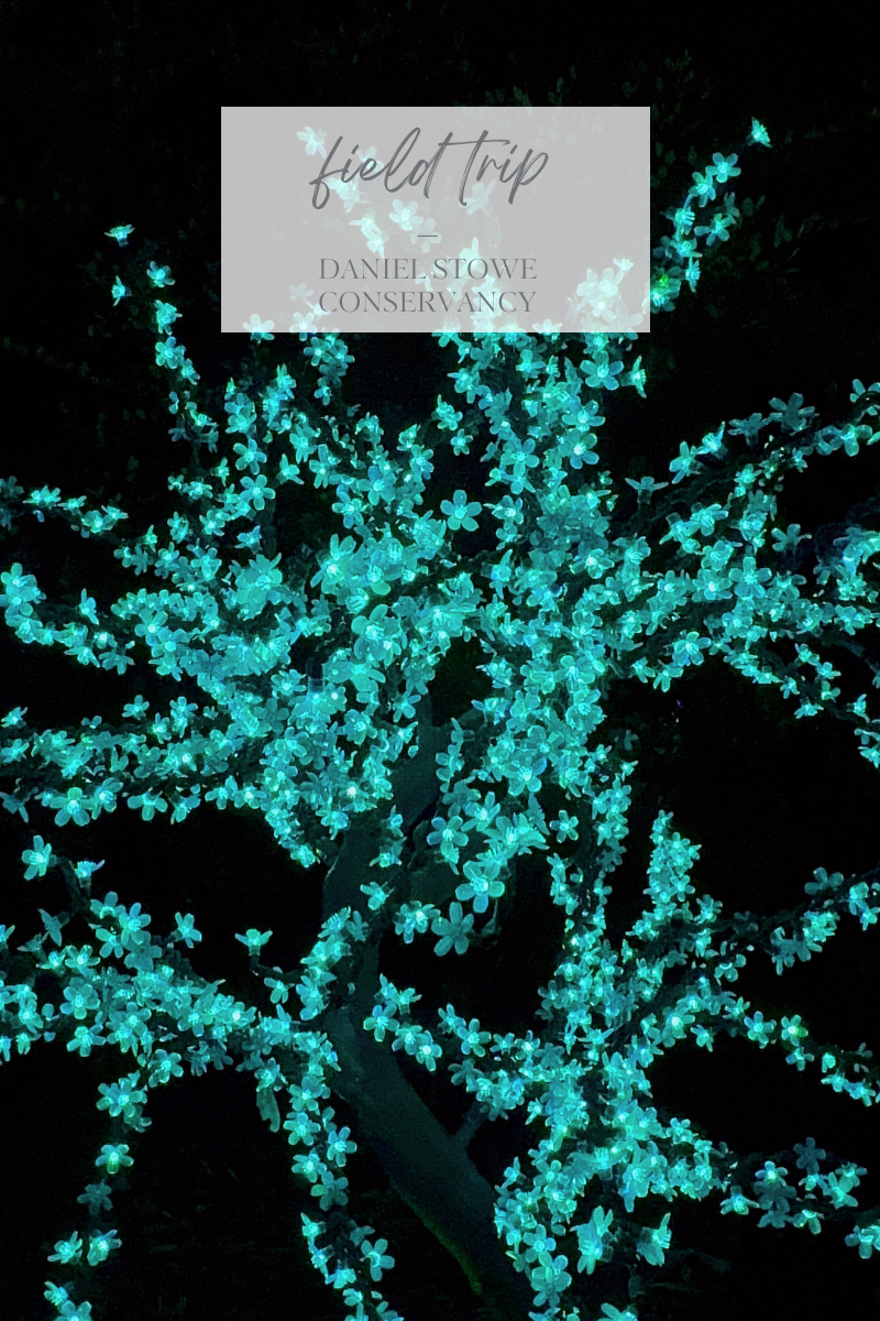 Field Trip - Daniel Stowe Conservancy - Holidays at the Gardens 