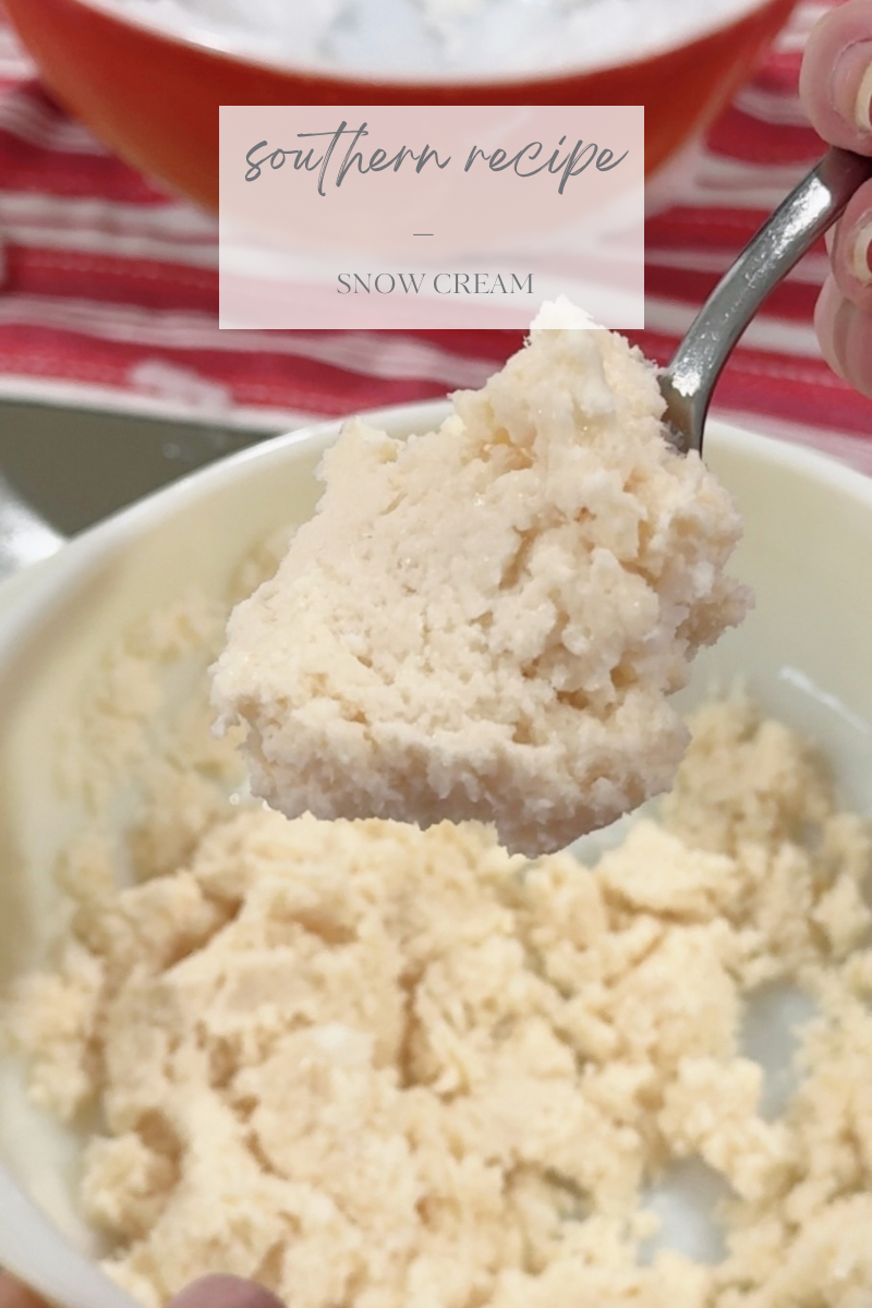 Southern Delicacy - Snow Cream