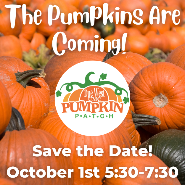 Save the Date Pumpkin Patch 500x500.png