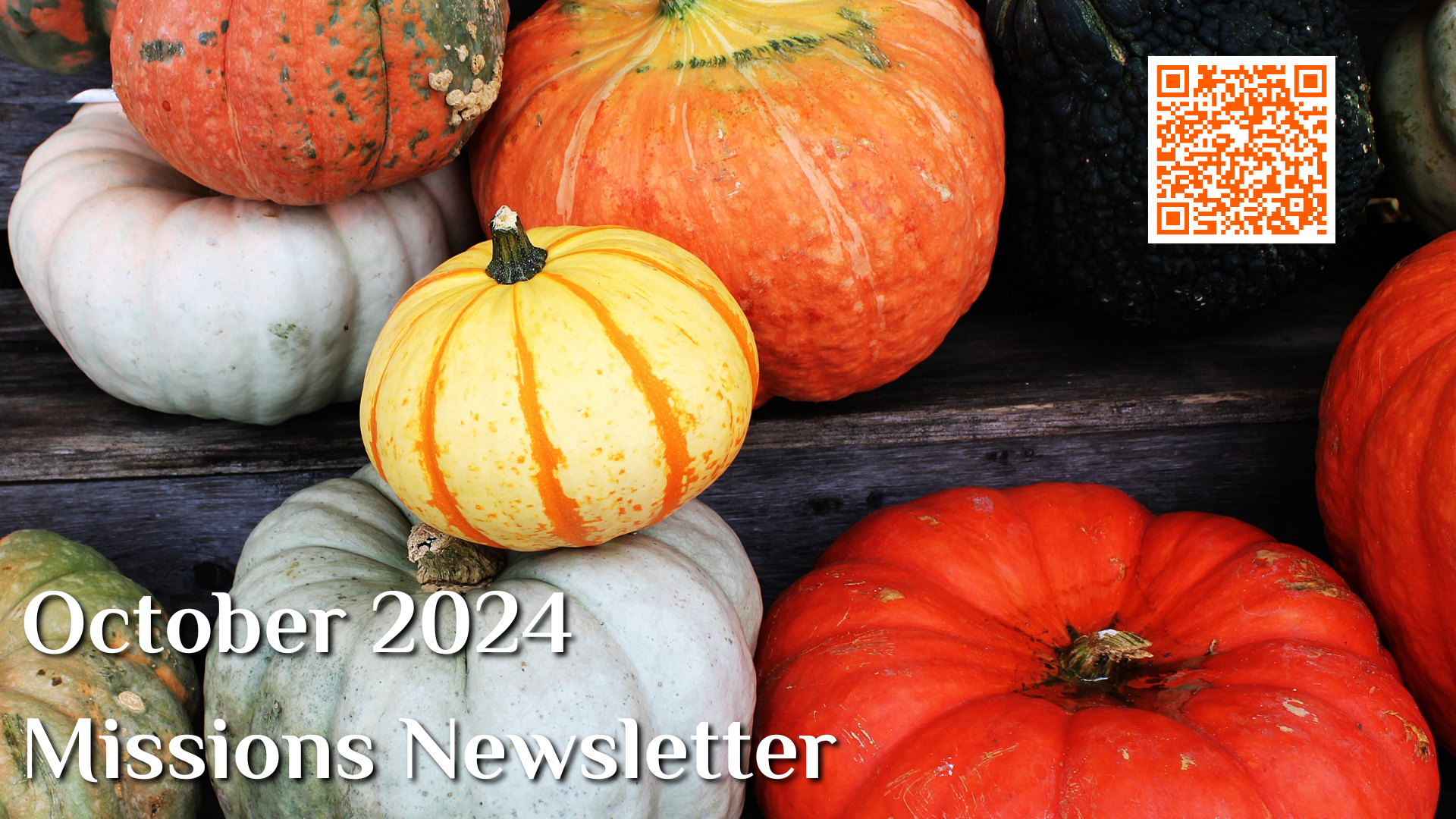 Missions Newsletter Images 2024.png