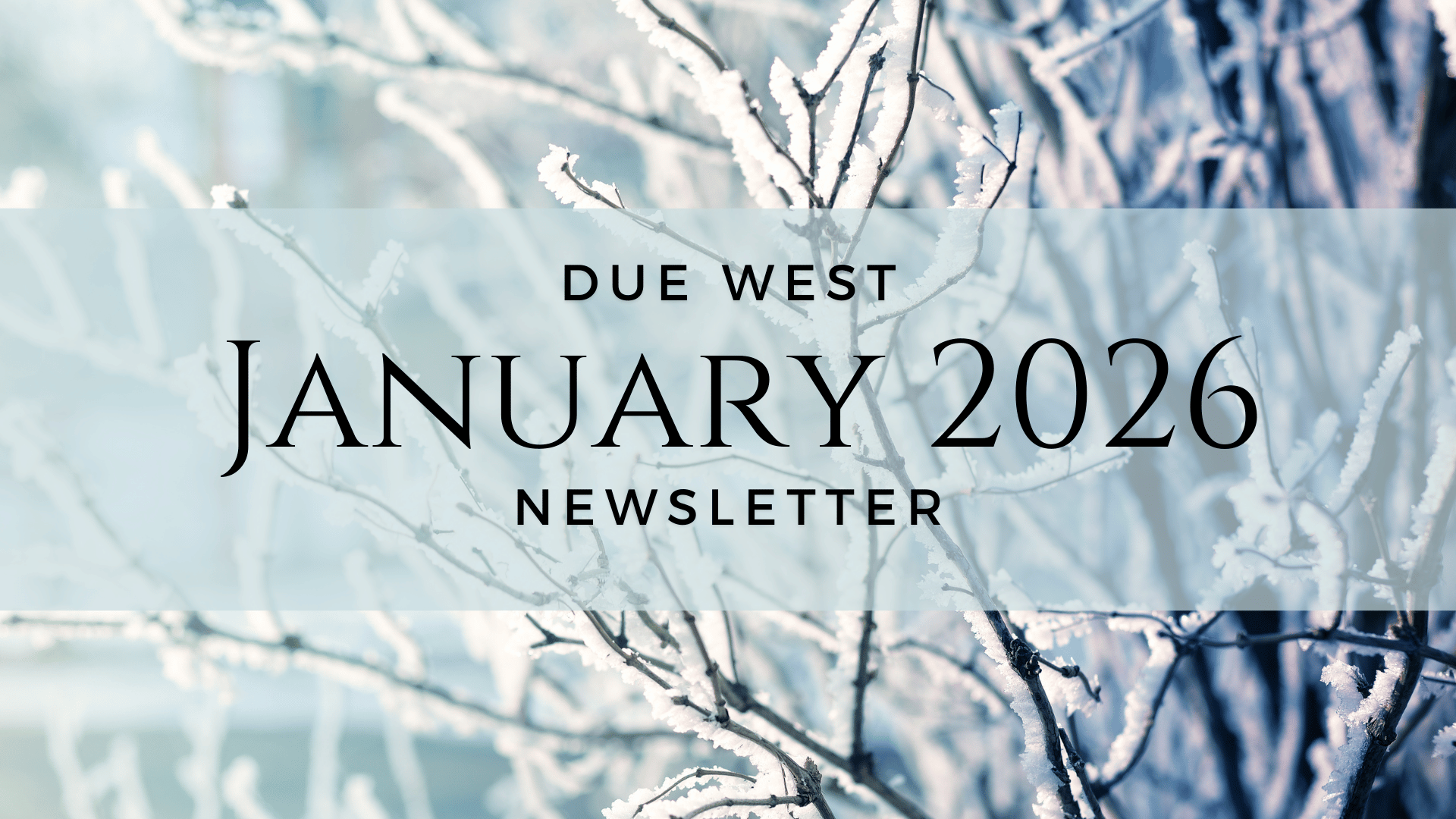 jan 2026 newsletter header.png