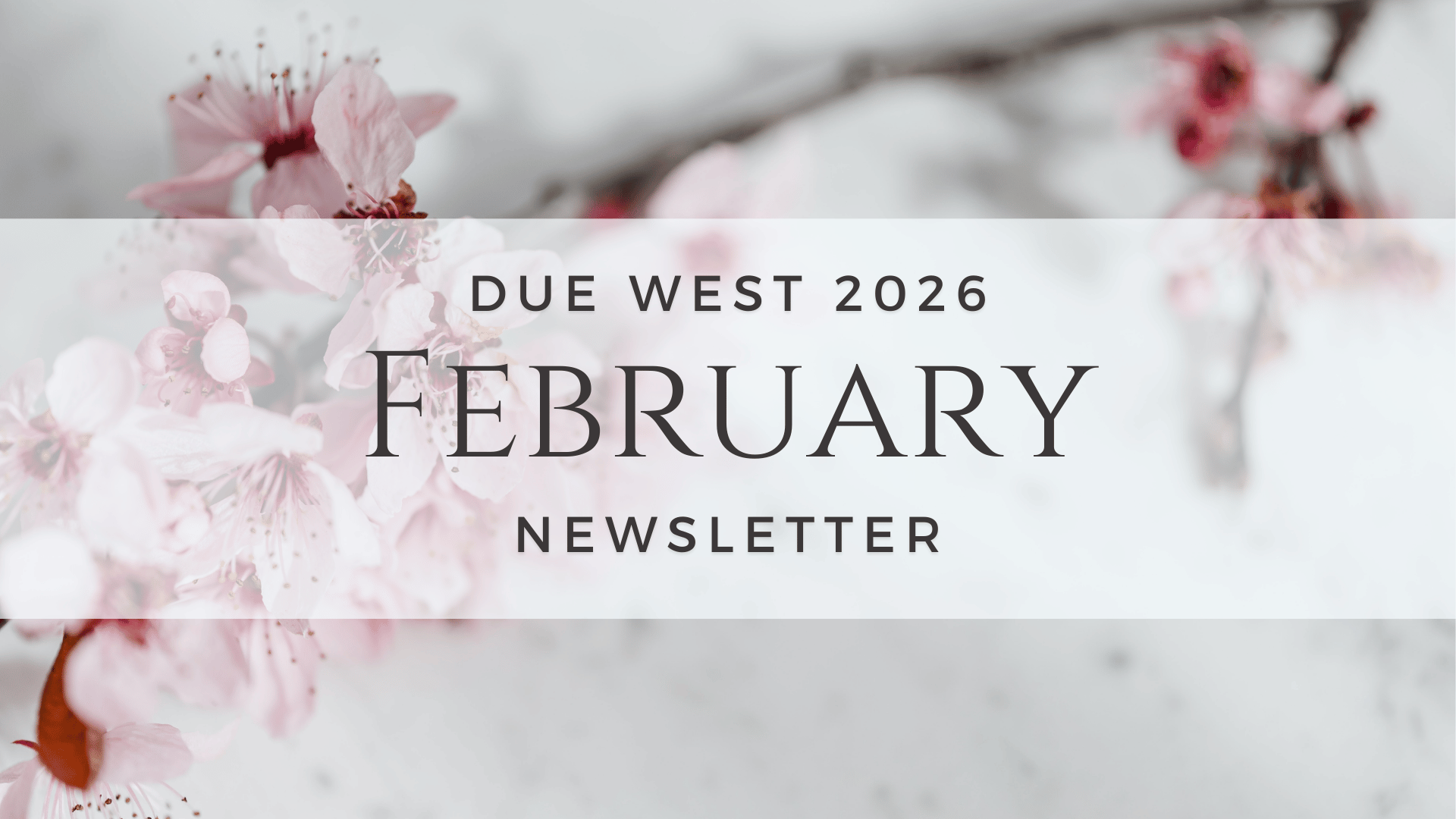 Feb 2026 newsletter header.png