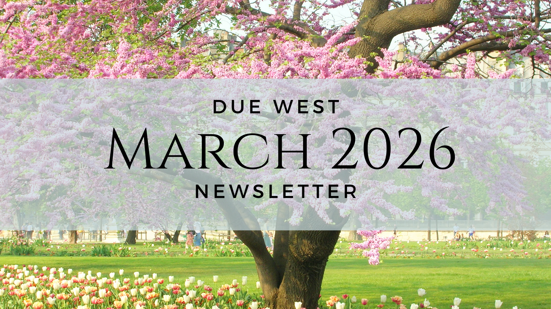 March 2026 newsletter header.png