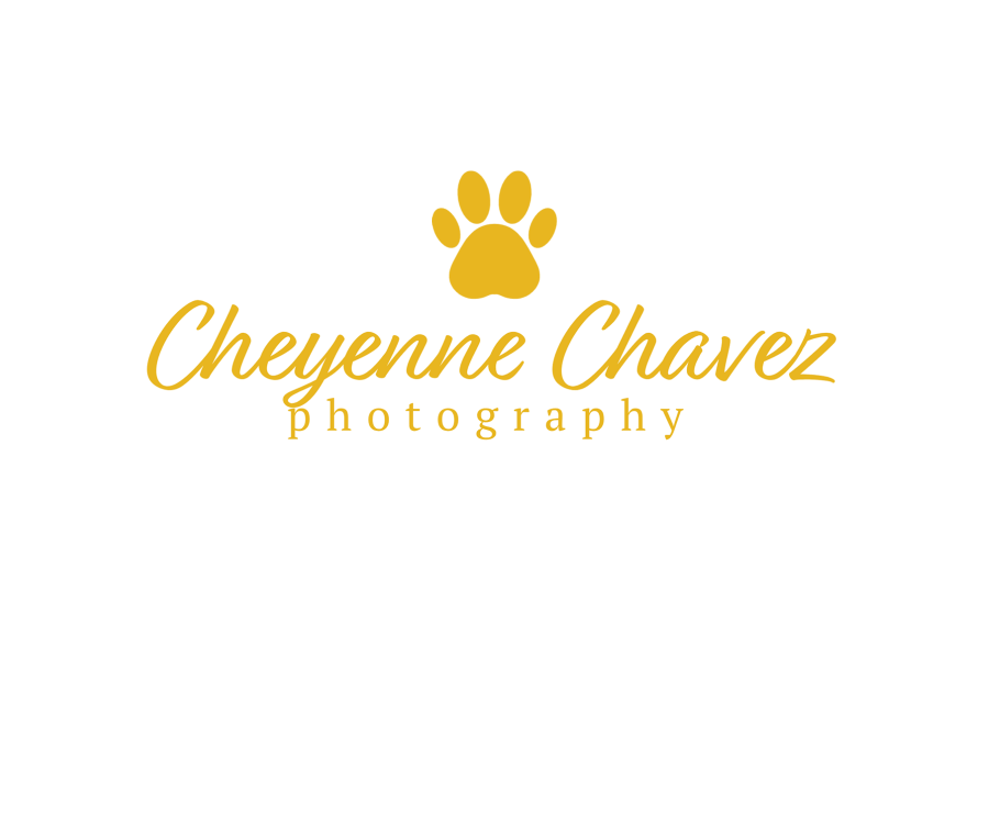 ABQ Pet Photographer- Cheyenne Chavez Photography