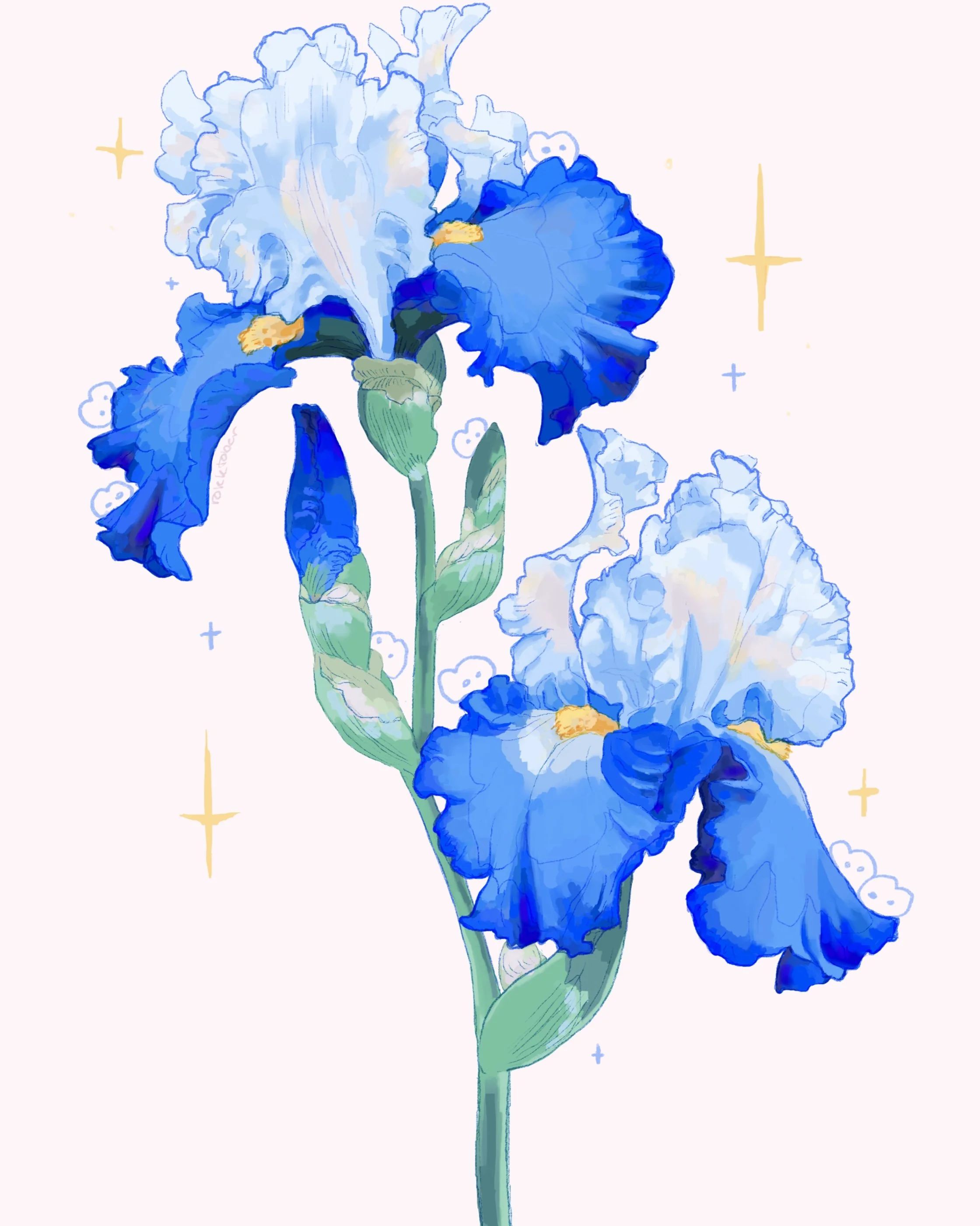 blue_iris.jpg