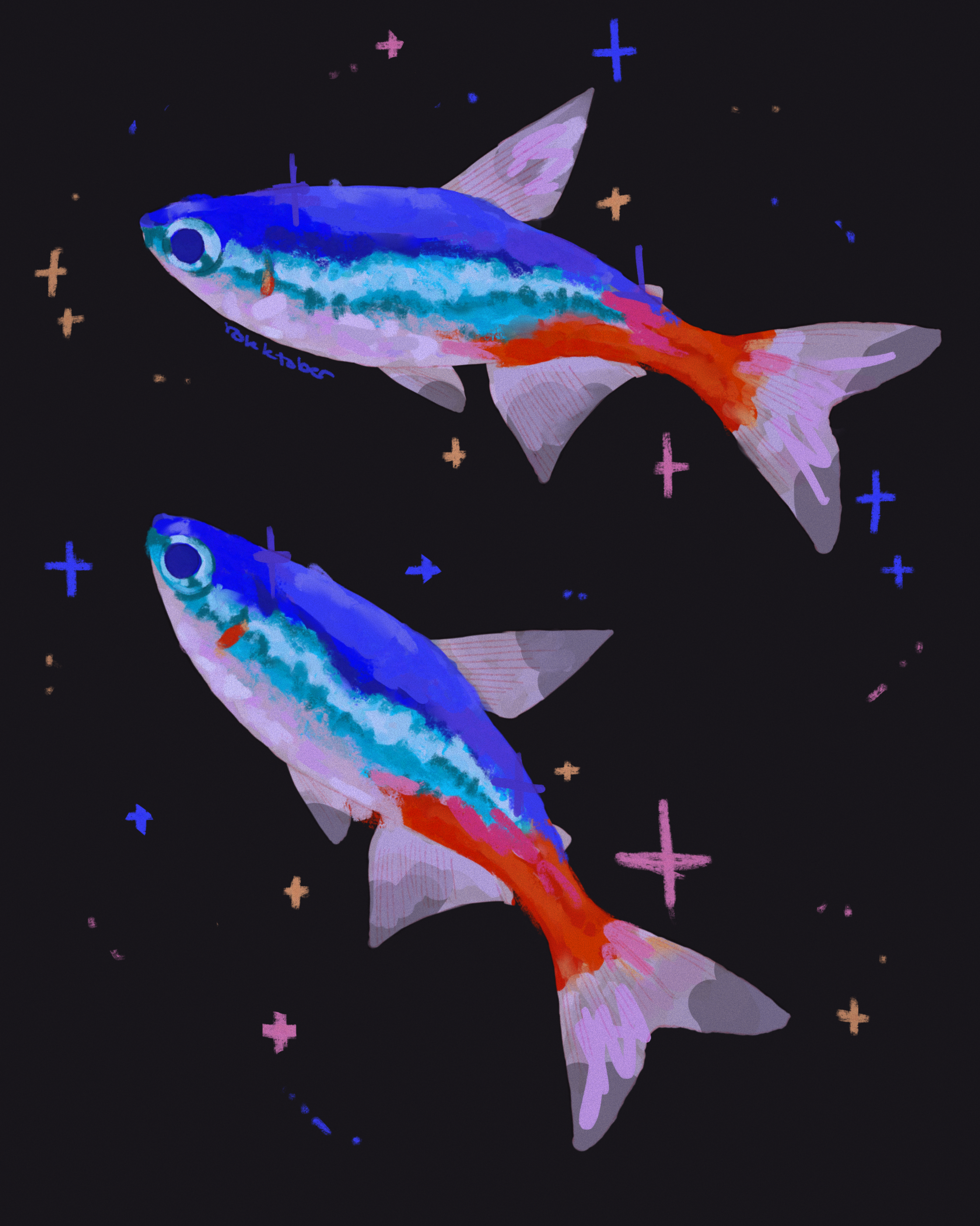 tetras.PNG