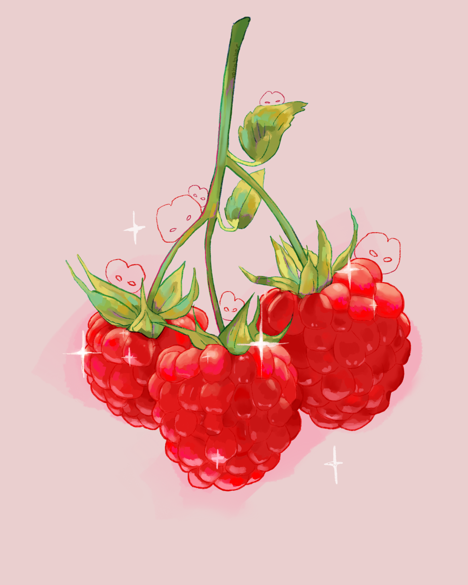 raspberries.PNG
