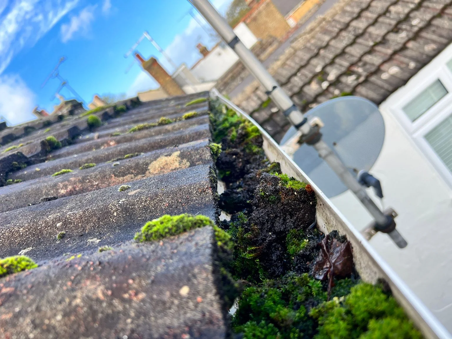 Gutters full of moss before clearance