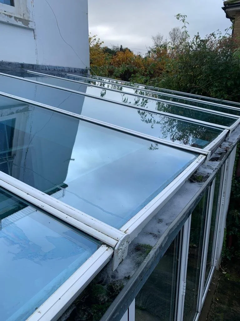 View of a clean glass conservatory roof with several glass panels, some showing reflections of the sky and trees, and surrounded by outdoor foliage.
