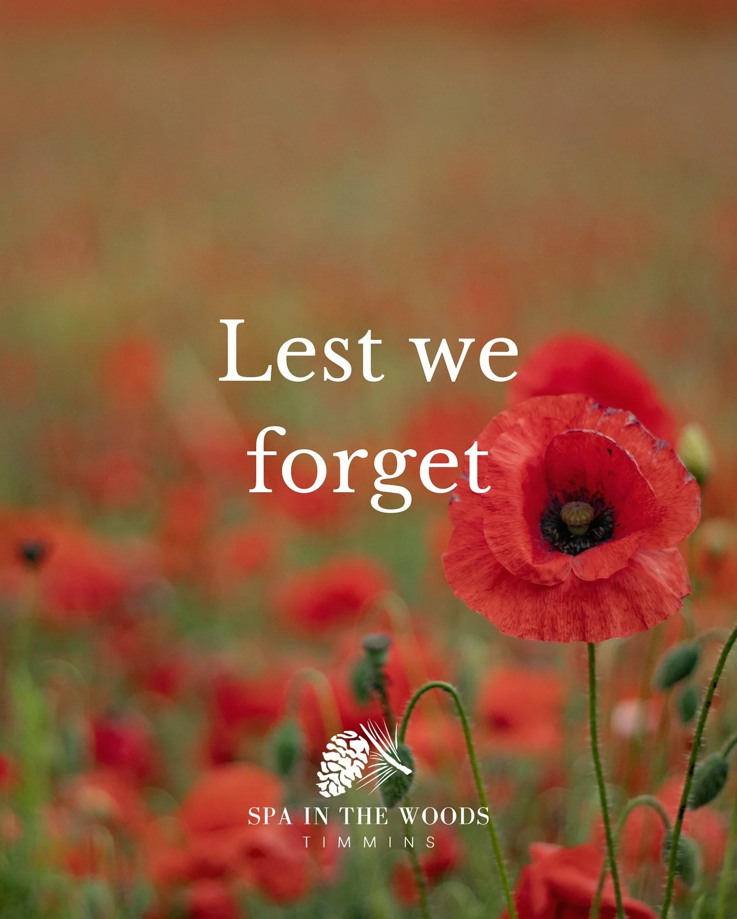 Today, we pause to remember and honour the courage, sacrifice, and service of those who fought for our freedom. Lest we forget.