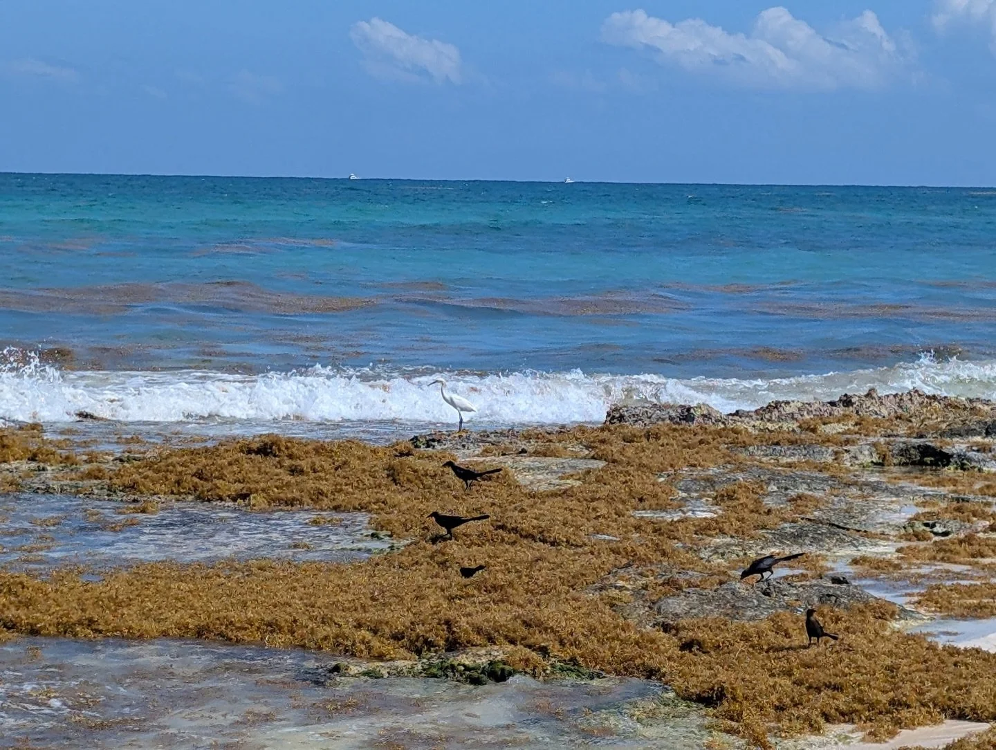 Happy Earth Day!🌿

There&rsquo;s something about being by the water that always makes you feel good. Today is a day of gratitude to Mother Earth, and a gentle reminder to us all to protect her for all that she gives us.