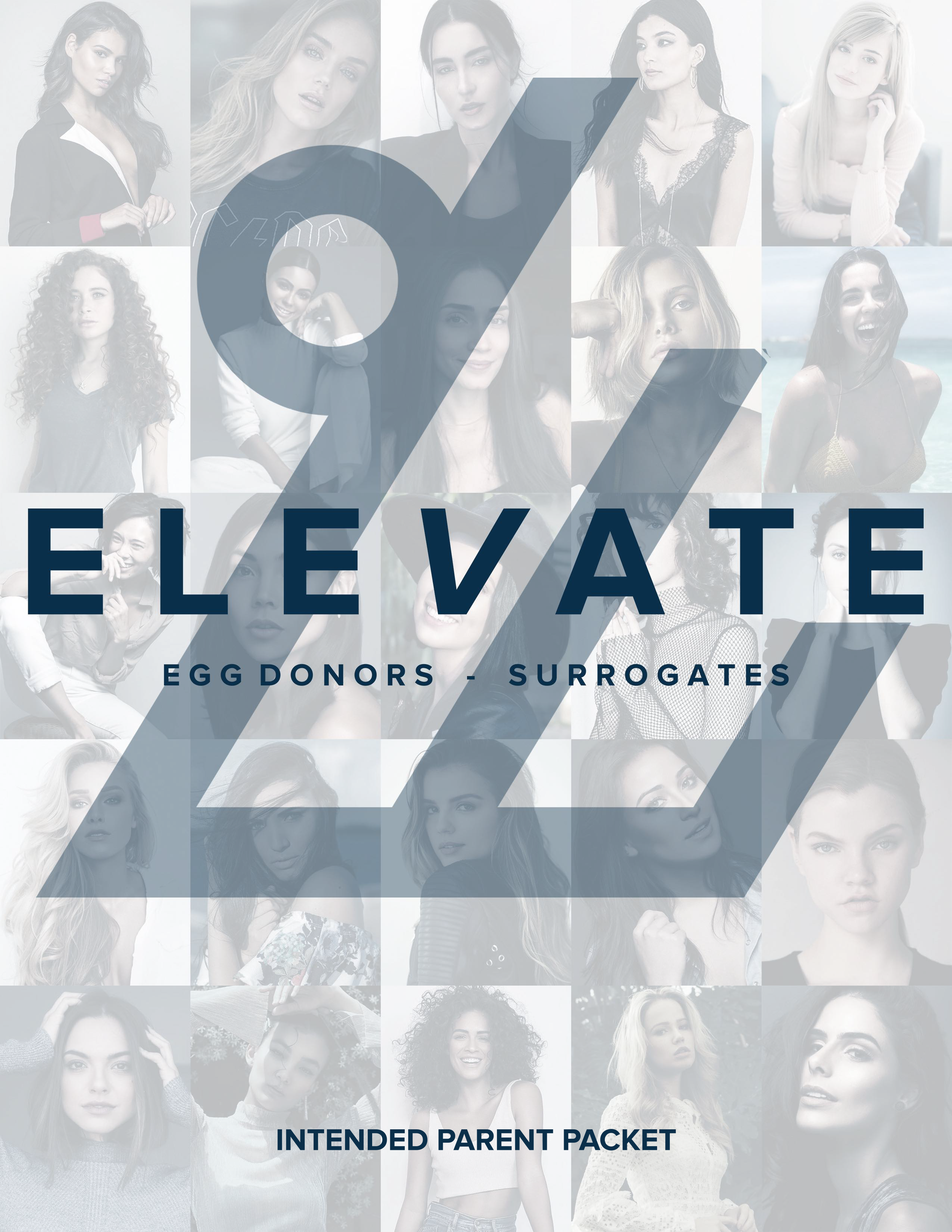 Pricing Elevate
