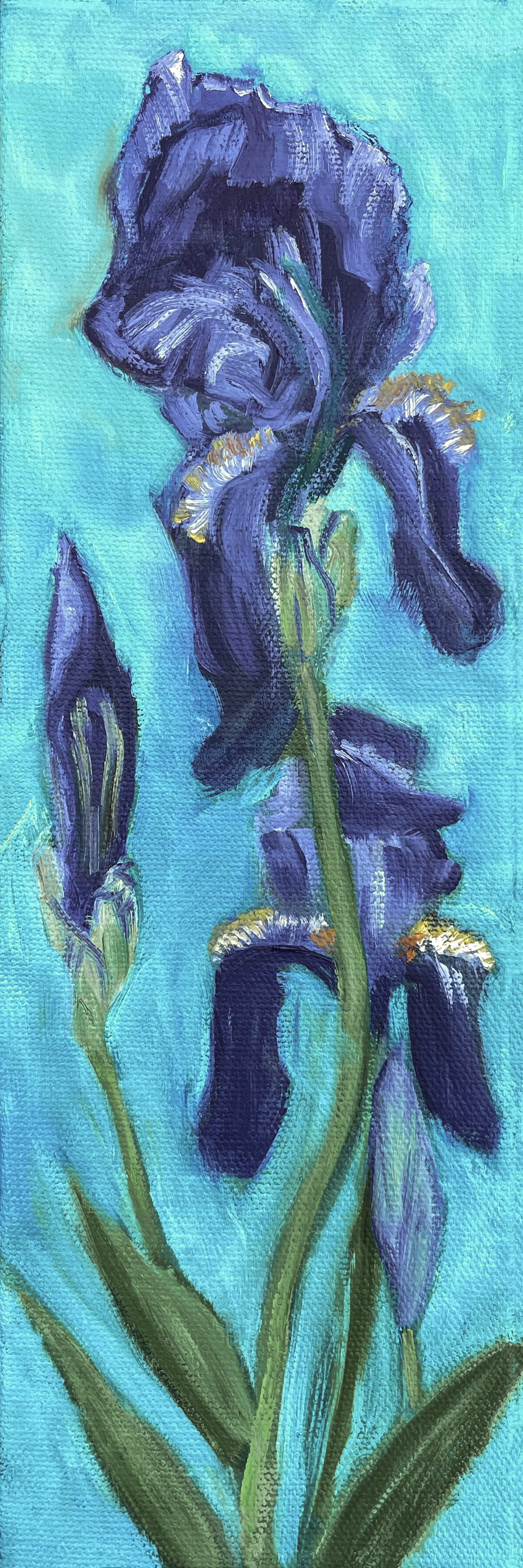 "Purple Iris" - SOLD