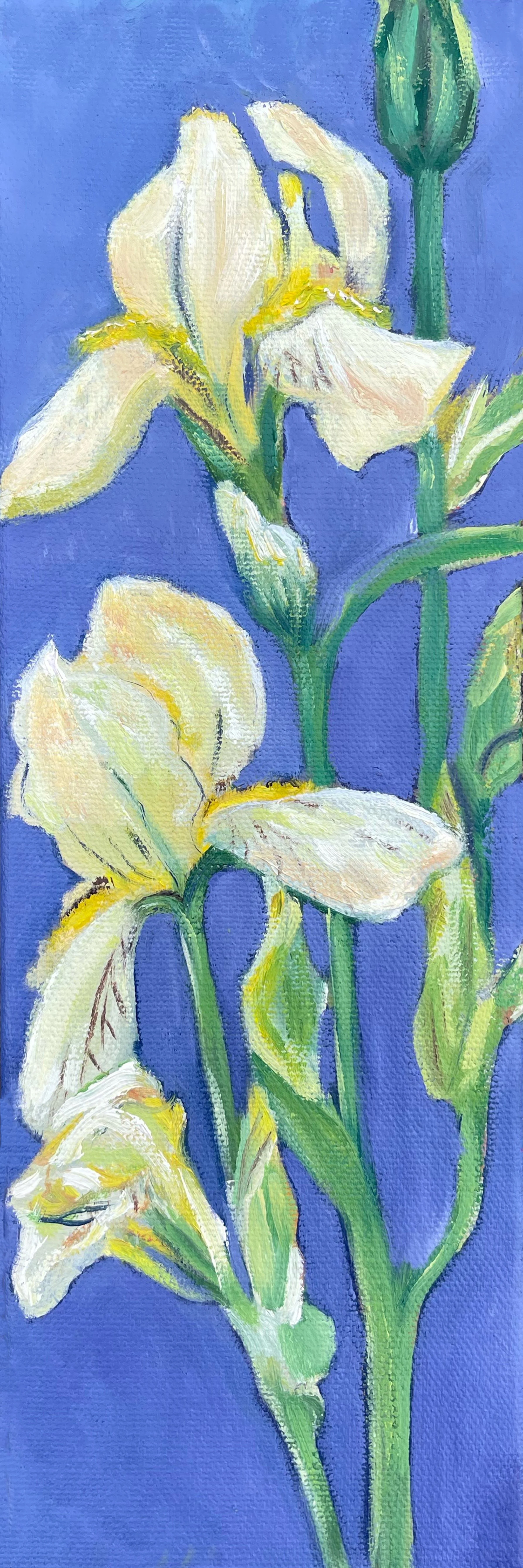 "Yellow Iris" - SOLD