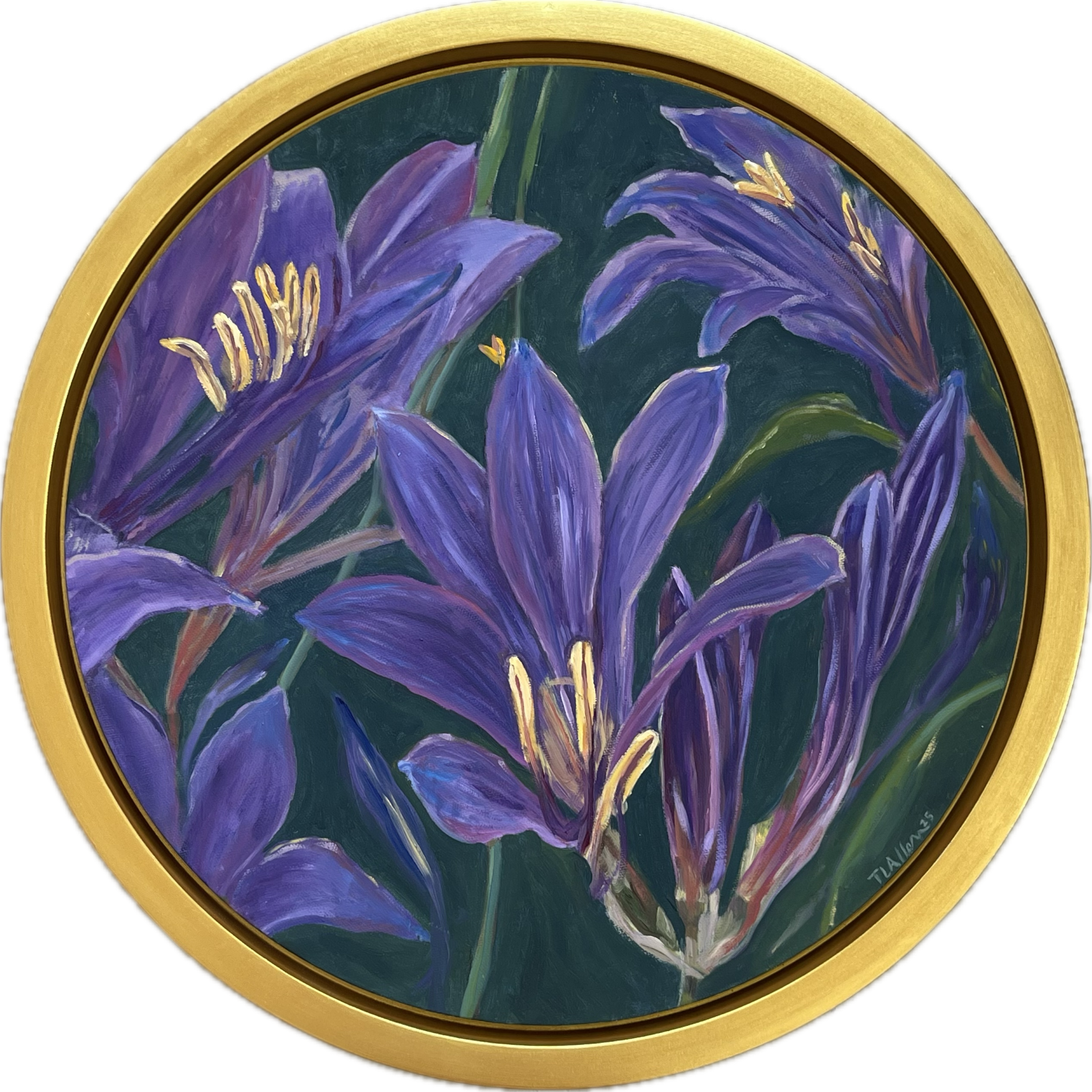 "Resurrection (Lily)" Oil on Canvas, 18” X 18” X .75” Rotundo (20” X 20” Framed) - 2025