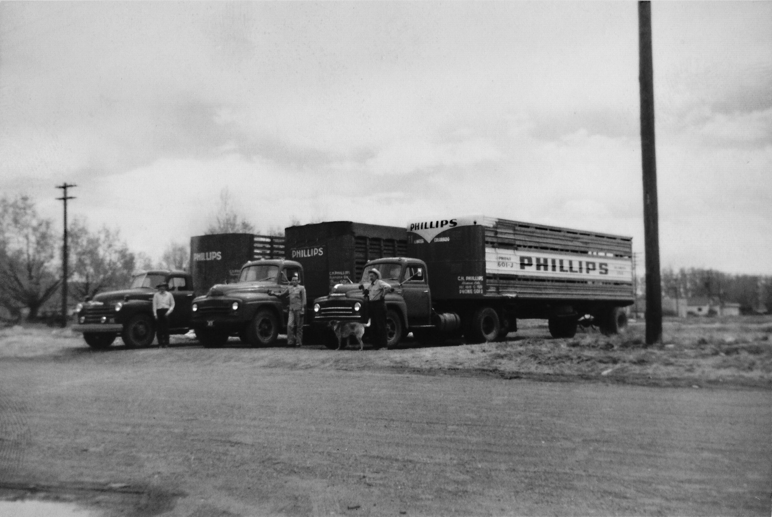 3-PhillipsTrucking3Trucks_b&w.jpg
