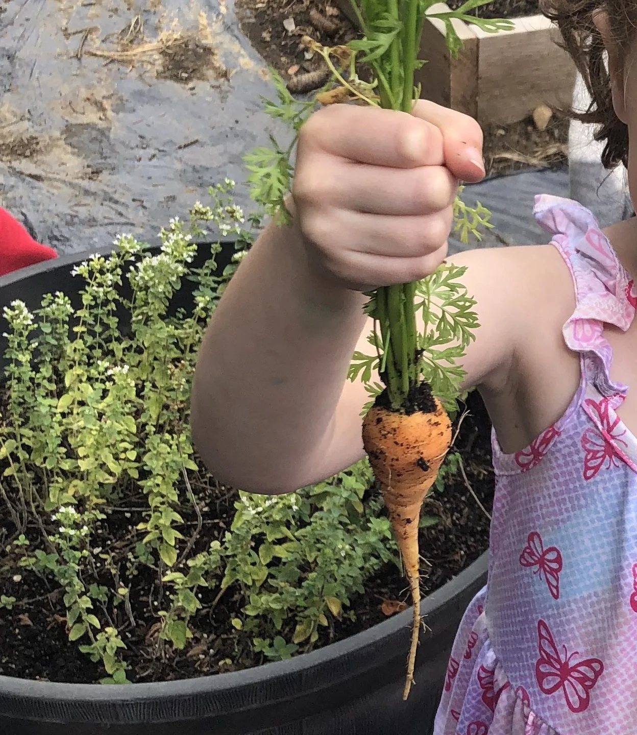 How Did Our Gardens Grow? Our 2022 Recap