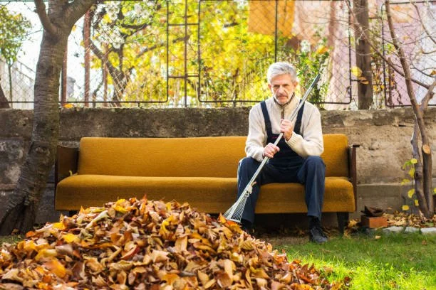 What to do with all those Leaves
