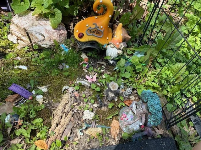 Guest Blog: My Daughter Shares Fairy Garden Tips!