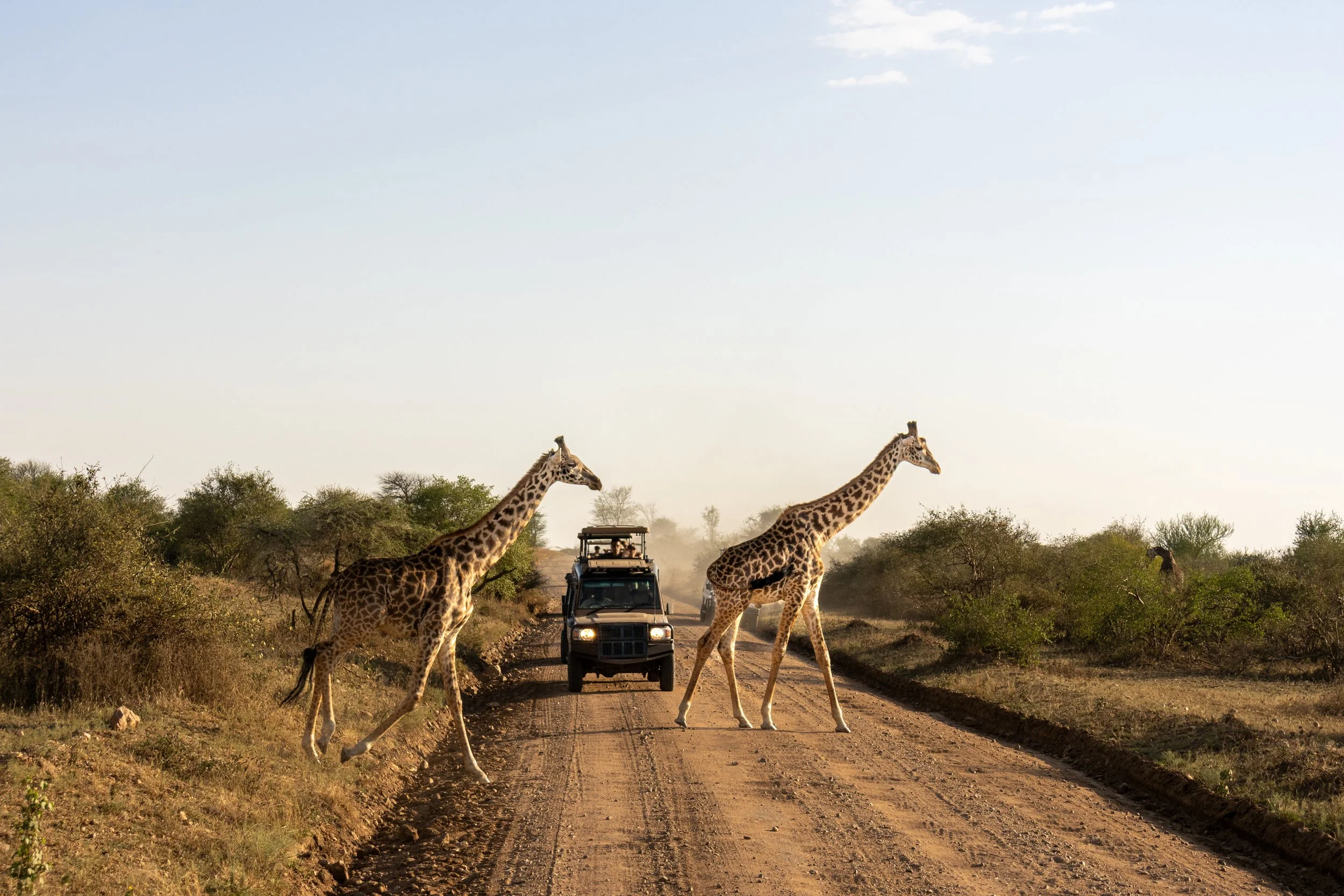 Serengeti National Park, Tanzania