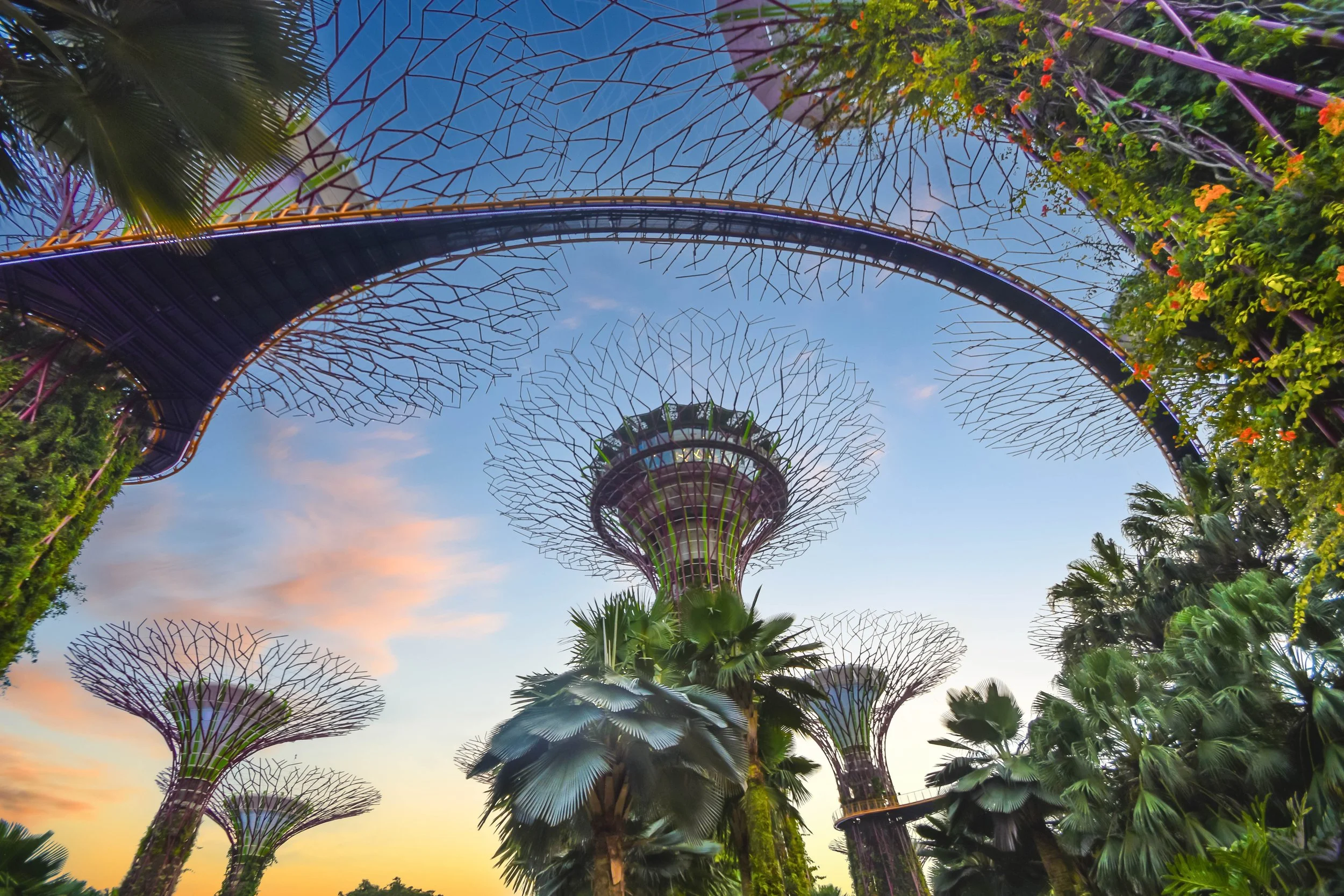 Supertree Grove in Singapore