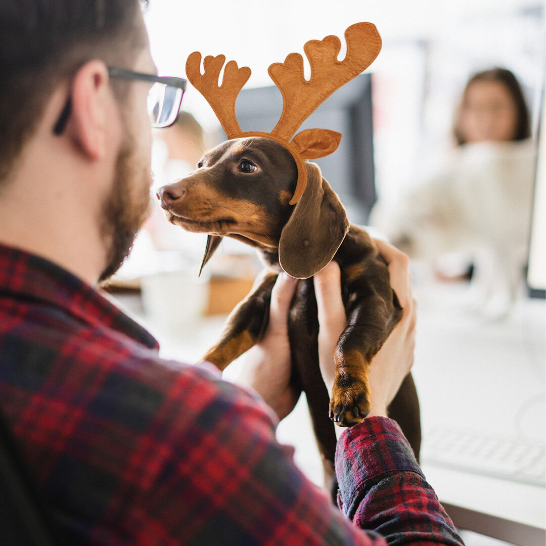 Penny&rsquo;s so into Christmas this year, she&rsquo;s even grown some antlers. The other dogs? A mere hat will have to suffice. 

Right you lovely lot, the studio is now shut for Christmas and we will see you in the new year! Be good, be safe and ha