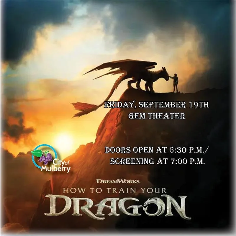 How to Train Your Dragon (2025)