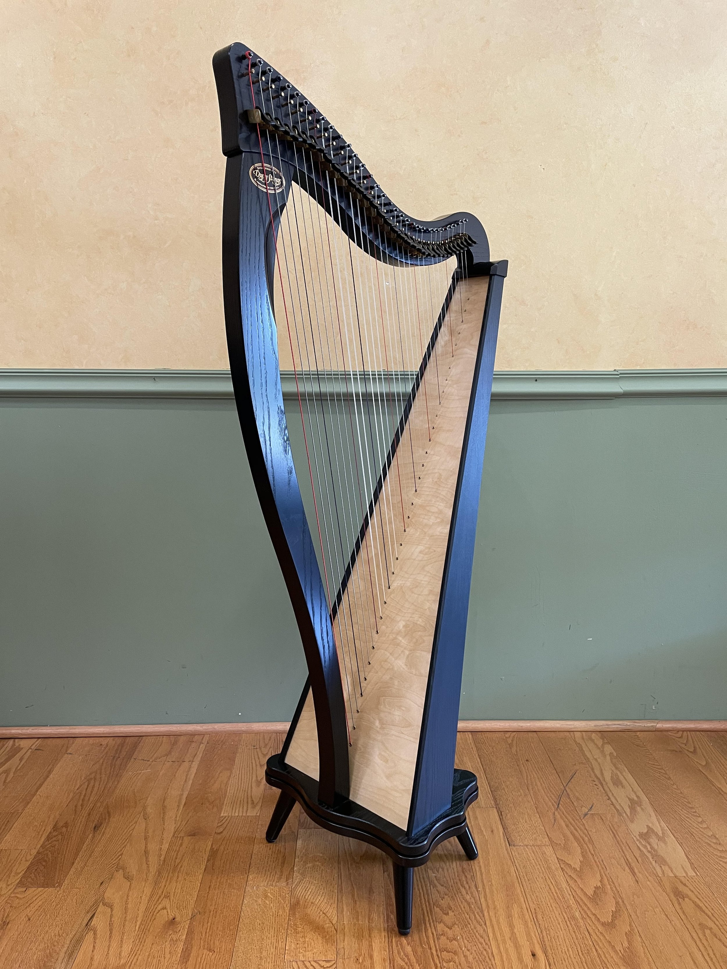 Dusty Strings Ravenna 34 #23752