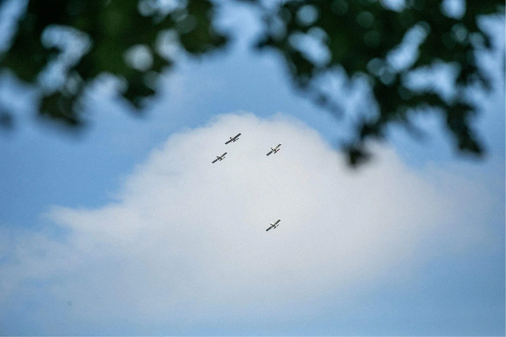 Hansens-2025-MAPA-2378 1.jpg