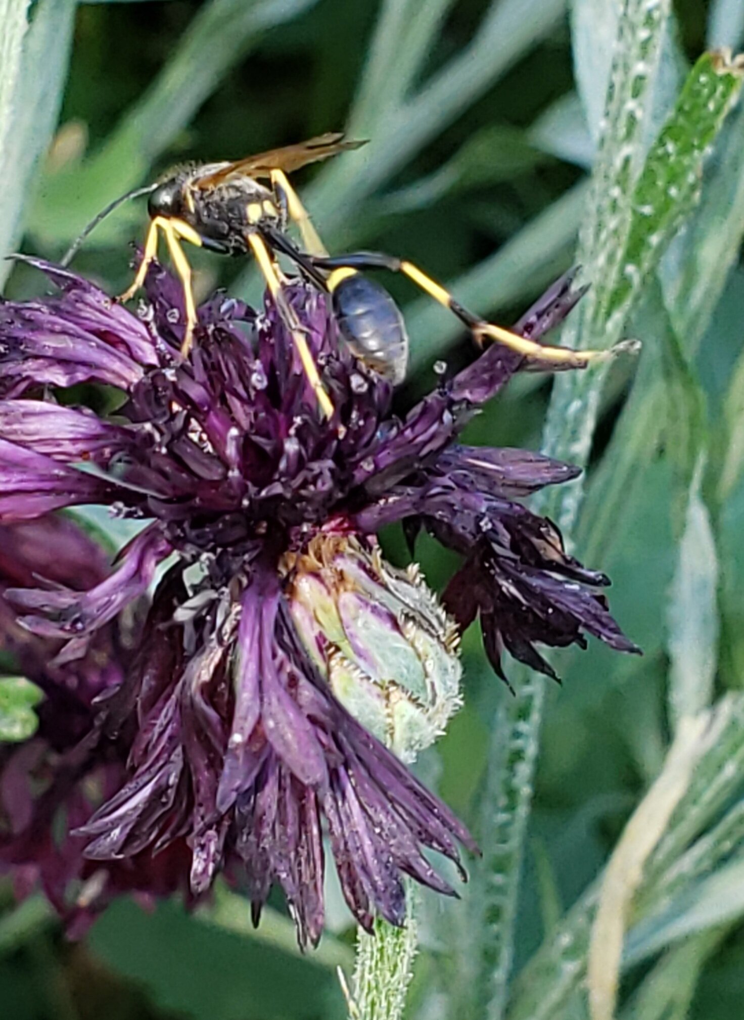 20210508_215143 (1).jpg