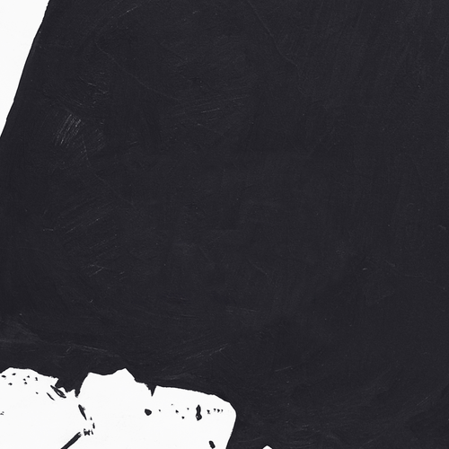 SQUIRREL FLOWER Tomorrow's Fire Out Now