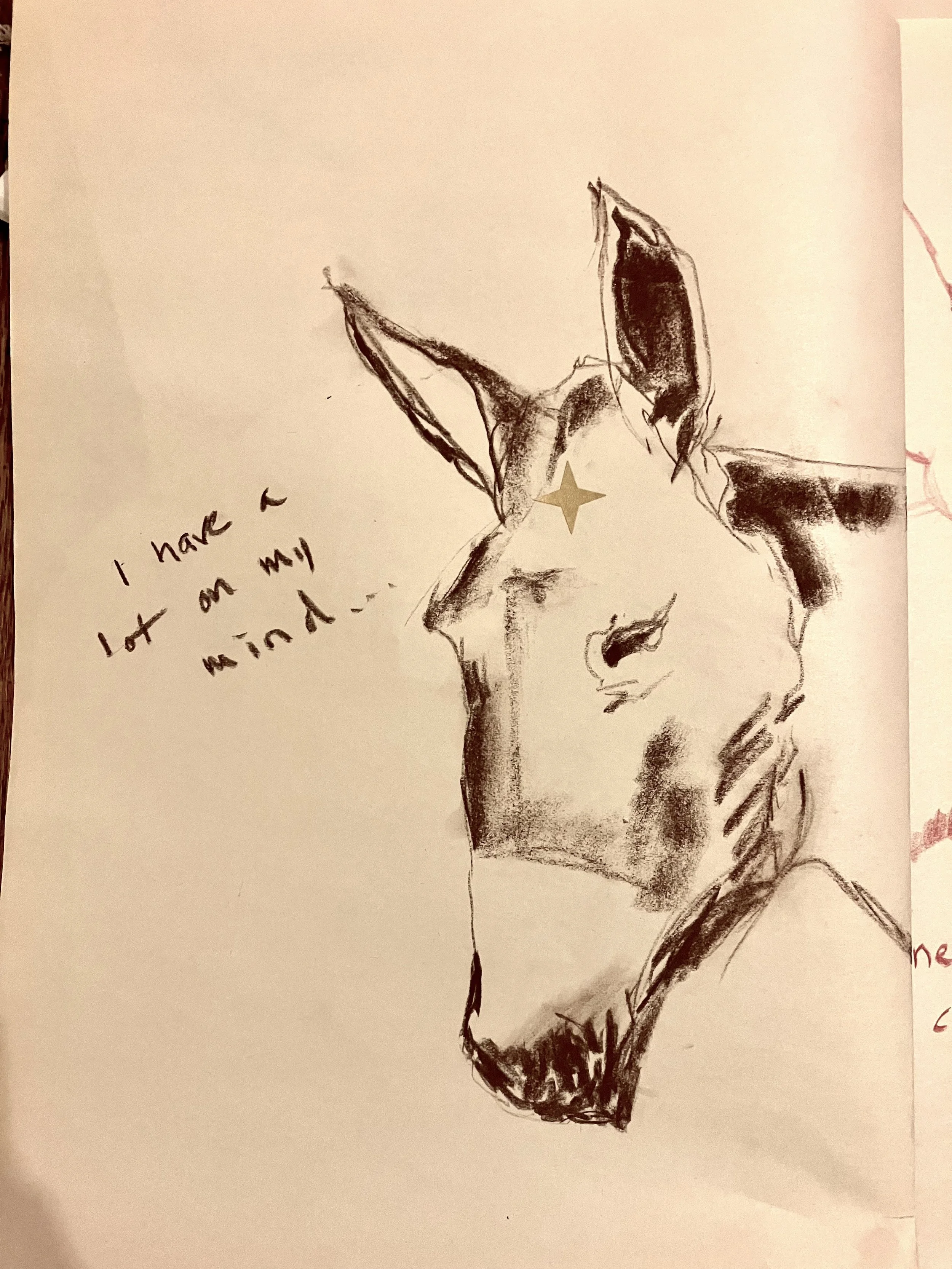 mule #2 (i have a lot on my mind...), crayon on newsprint, 2025