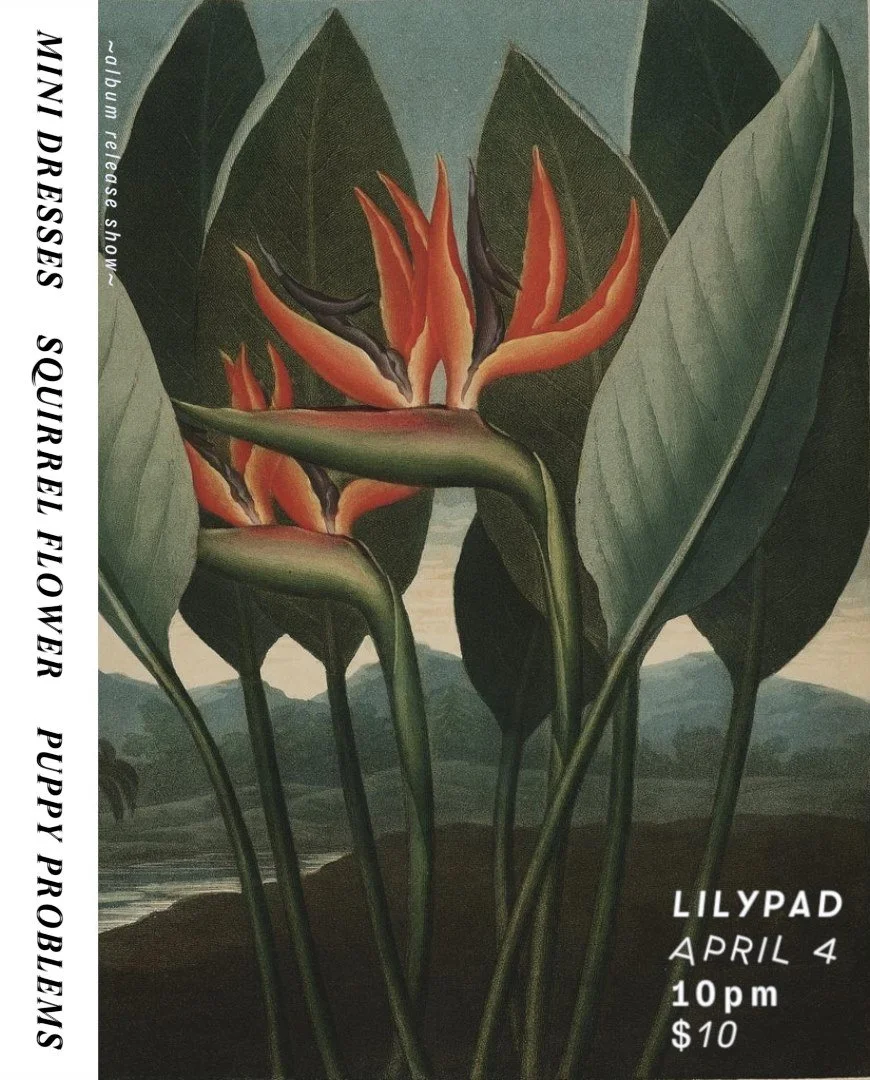 2019 mini dresses/squirrel flower/puppy problems (i think i had to bail from this show due to concussion actually)