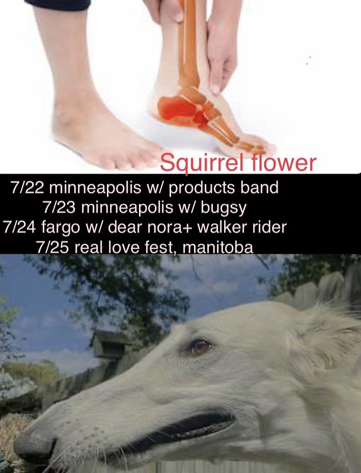 2025 to canada and back