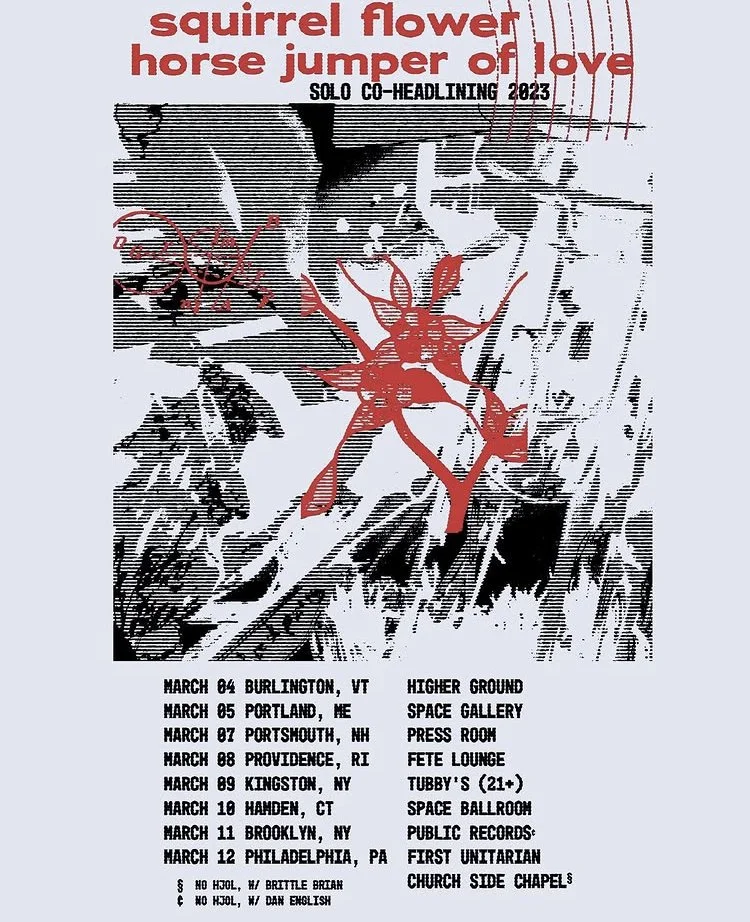 2023 w horse jumper of love